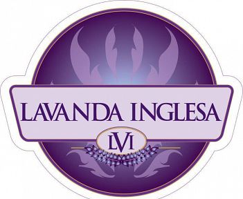 Lavanda Inglesa, Bandas de Rock de Manizales.
