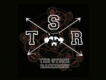 Tsr The Stone Raccoons, Bandas de Punk Rock  de Bogota.