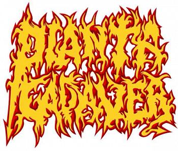 Planta Cadaver, Bandas de Death Metal de Medellin.