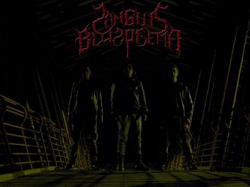 Sanguis Blasphema, Bandas de Black Death Metal de Bogota.